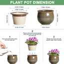 Self Watering Planters for Indoor Plants, 6 Inch Ceramic African Violet Pots with Absorbent Inner Pot, Ceramic Plant Pot, Round Flower Pots, Bathroom Decor, Housewarming Gifts, Yellowish Brown