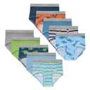 Hanes Toddler Toddler Brief Underwear, Dinosaur Prints, Stripes & Solids, Comfort Waistband & Smooth Seams, 10-Pack 2T/3T