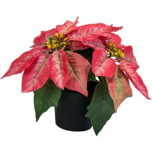 Qianly Christmas Artificial Poinsettia Plant Faux Flowers in Pot Realistic for Office Porch Garden Window Tabletop, Style C