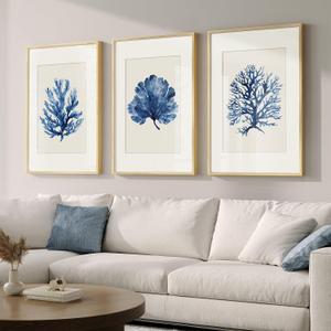 Framed Coastal Coral Watercolor Wall Art for Living Room, Large 3 Piece Navy Blue Coral Artwork for Walls, Minimalist Ocean Beach Marine Plants Pictures Prints for Bedroom Hallway Wall Decor, 20x30 In, 20" W x 30" H x 3Pcs