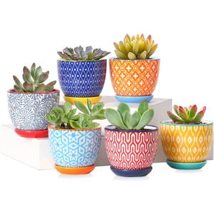 Selamica Ceramic 2.4 Inch Succulent Pots, Mini Flower Pots for Cactus Plant with Drainage Holes & Saucers, Home Decor, Set of 6, Assorted Colors