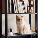 Kasa Smart Kasa 2K QHD Security Camera Pan/Tilt, Starlight Sensor for Color Night Vision,Motion Detection for Baby & Pet Monitor, SD/Cloud Storage,Works with Alexa & Google,Free Expert Support(KC410S) (White)