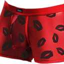 Evankin Men's Underwear Sexy Mesh Breathable Boxer Briefs Low Rise Cool Valentines Boxers Pack Set (Medium)