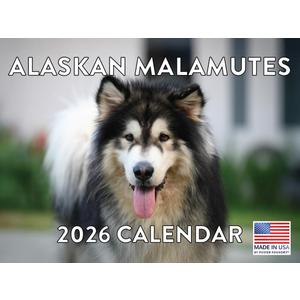 Alaskan Malamute Calendar 2026 Monthly Wall Calender 12 Month | American Made In The USA