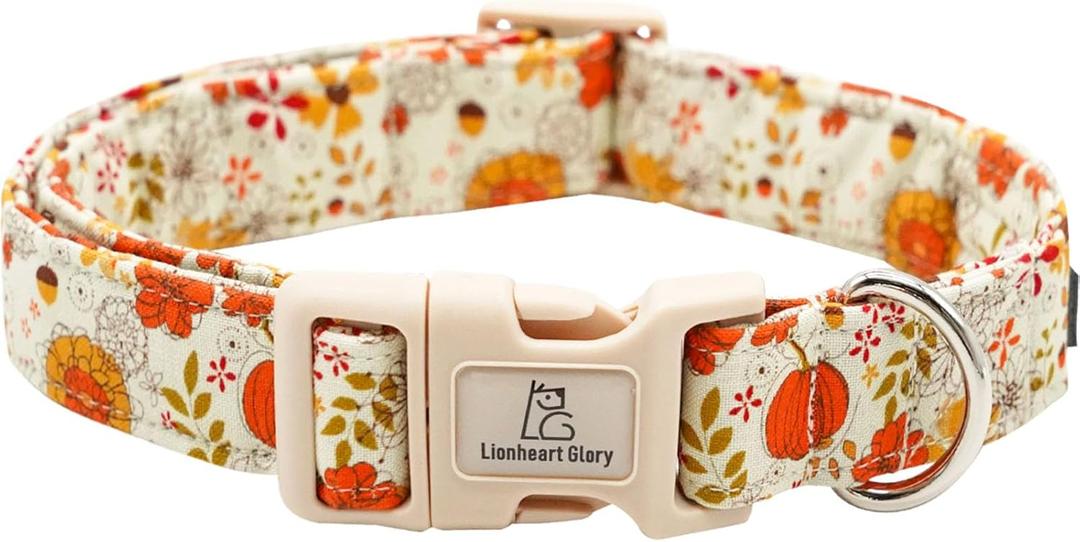 Lionheart Glory Adjustable Heavy Duty X-Small Dog Collar for Halloween (Pumpkin and Flower), Pack Of 3