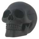 Black Skull Halloween/Spooky Decor