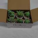 Der Rose Set of 6 Succulents Plants Artificial in Pots Small Fake Plants for Bedroom Aesthetic Living Room Shelf Bathroom Decor Office Desk Accessories (Green)