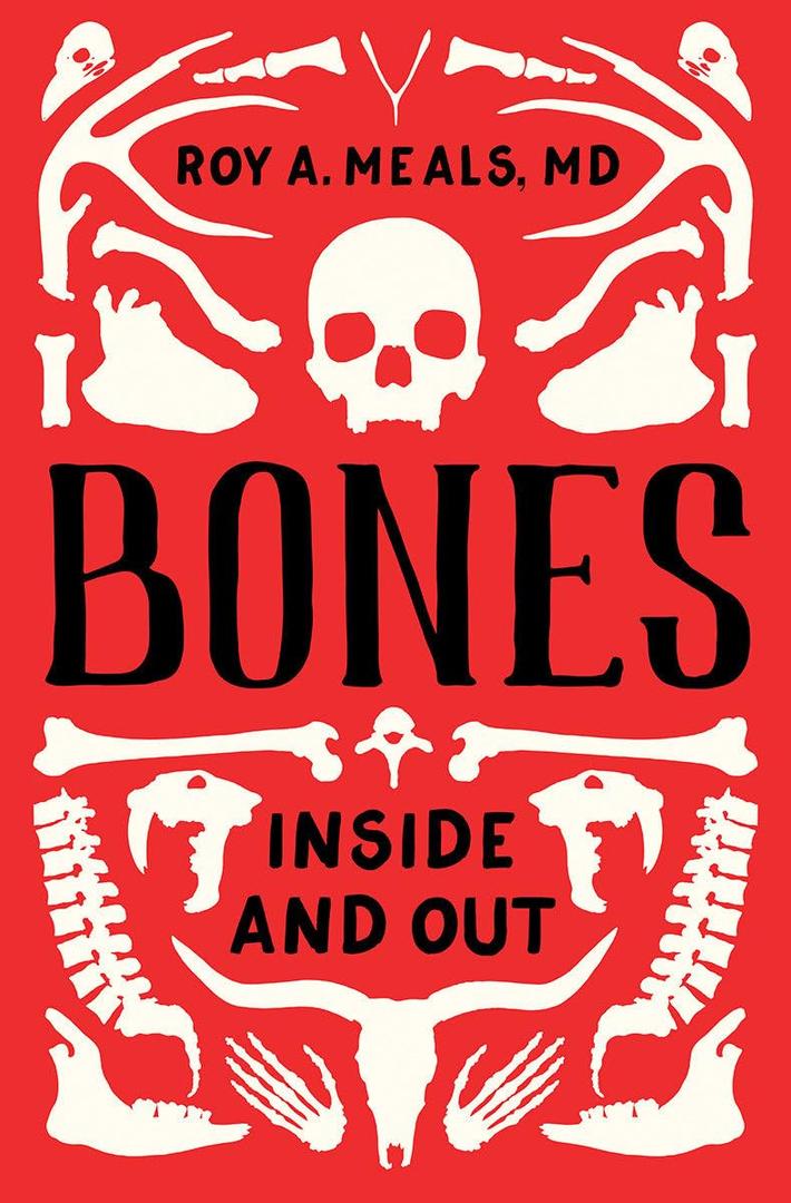 Bones: Inside and Out