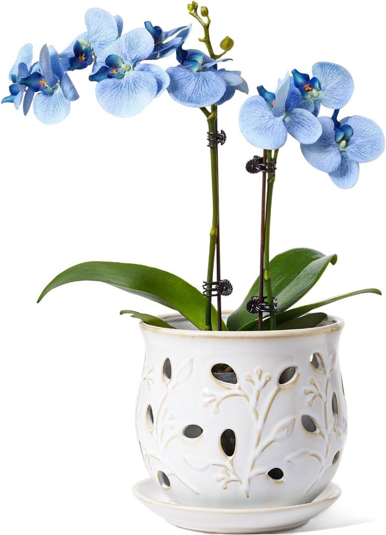 LE TAUCI Ceramic Orchid Pot, 6.5 Inch Orchid Planter with Holes for Repotting, Indoor Flower Plant Pot with Drainage and Saucer, Arctic White