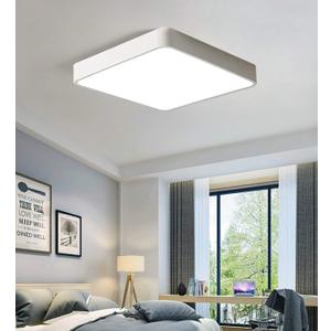 Ganeed 19.6 inch LED Ceiling Light, 39W White LED Day White 6500K Square Flush Mount Ceiling Lamps, Energy Saving Light Fixture for Office Bedroom Kitchen Hallway Stairways