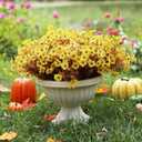 12 Bundles Artificial Mums for Outdoors, Fall Fake Flowers Outside UV Resistant, Faux Fall Mums Flowers for Outdoor Planters, Window Boxes, Front Porch-Fall Yellow