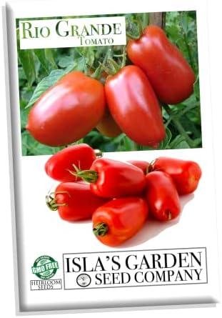 Set of 4 Pack, Rio Grande Tomato Seeds for Planting, 100+ Heirloom Seeds Per Packet, (Isla's Garden Seeds), Non GMO Seeds, Botanical Name: Lycopersicon esculentum, Great Home Garden Gift