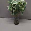 MACTING Artificial Eucalyptus Stems in Glass Vase with Faux Water Stones 14" Artificial Plants Indoor Eucalyptus Leaves for Table Centerpieces Bathroom Kitchen Home Spring Decorations(Gradient Green)