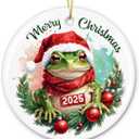5 x Funny Frog Christmas Ornament 2025 - Frog Ornaments for Christmas Tree, Frog Gifts for Women, Men, Boys, Girls, Kids - Cute Animals Gifts Xmas Hanging Ceramic Ornament