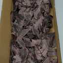 Hananona 4 Pcs Artificial Cimicifuga Leaf Spray, 23 in Faux Burgundy Fall Greenery Branch with Long Stems for Vase, Farmhouse Thanksgiving Autumn Centerpiece Halloween Decor (4, Chocolate, 23 in)