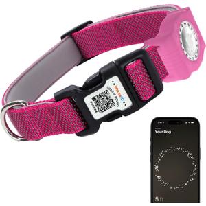 WhoseID Reflective Dog Collar with AirTag Holder,Adjustable Dog Collar with Neoprene Padded & Anti-Lost QR Code Buckle (Rose, Large)