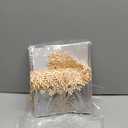 Walrus Clear Vinyl Tablecloth Protector Waterproof/Oil-Proof Plastic Square Transparent Sheet Table Cover (54X84 Inch)