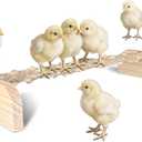 Natural Textured Wood Baby Chicken Roosting Perch - Poultry Perch Toy for Chick/Bird, Easy Install Chick Roost for Brooder Box/Coop Accessories