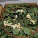 Pinkpum 20'' Eucalyptus Wreath for Front Door, Porch, Window - Green Decor for Home, Farmhouse - Spring, Summer, Fall, All Seasons (White)