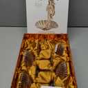 Venus Seashell Coupe Cocktail Glasses | Set of 4 | 8 oz Crystal Ribbed Champagne Saucers for Drinking P-Star and Espresso Martini, Margarita, Daiquiri, Cosmopolitan, Gimlet | Elegant Gift Glassware