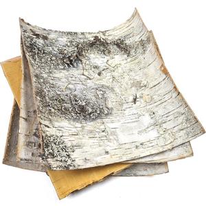 Natural White Birch Bark 4 Sheets 8" x 8" - Russian White Birch Tree Decor Sheets for Scrapbooking, DIY Projects, Arts and Crafts - Unfinished Wood Paper Birch