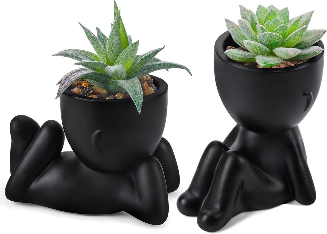 Der Rose Set of 2 Fake Plants Artificial Succulent Plants for Office Desk Accessories Black Bathroom Home Room Aesthetic Decor Indoor, Black 