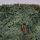 Christmas Cedar Garland with Soft Thickness Pine,Thick and Lush,Artificial Green Faux Cedar Pine Garland for Christmas Winter Home Mantel Fireplace Holiday Party Dcor (6Ft) (6ft)