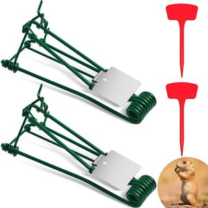 Qualirey 2 Pcs Outdoor Gopher Trap Easy to Set Mole Trap Weather Resistant Gopher Killer Vole with Red T Type Labels for Lawn Garden Farm (Green)