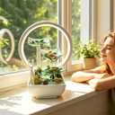 AOZITA Tabletop Water Fountain, Indoor Waterfall Fountain with 3-Tier Transparent Glass Lotus,Color-Changing LED & Ring, River Stones, Relaxing Zen Water Sound,Home Office Feng Shui Decor