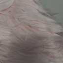 WLNUI Set of 2 Easter Spring Pink Fluffy Pillow Covers New Luxury Series Merino Style Blush Faux Fur Throw Pillow Covers Square Fuzzy Cushion Case 18x18 Inch for Couch Sofa Home Decorations