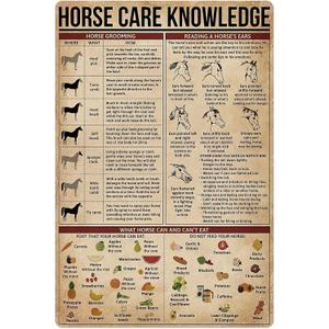 Horse Knowledge Metal Tin Sign Horse Care Vintage Funny Poster Club Living Room Kitchen Farm Home Art Wall Decoration Plaque