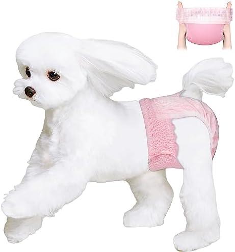 Ambreview Disposable Dog Diapers Female, Just Pull It Up, Doggie Diapers for Female Dogs, Strong Absorbency | Leak Proof, for Dogs in Heat | Elderly | Disabled, M 10 PCS