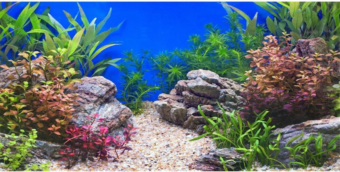 AWERT 48x18 inches Aquatic Plant Fish Tank Background Stone River Bed & Lake Aquarium Background Vinyl