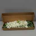 8 pcs White Delphinium Artificial Flowers, 34.25''Artificial Snapdragon Flowers Tall Fake Flowers Silk Flowers Faux Delphinium Bulk for Tall Vase Home Wedding Garden Table Decor (White)