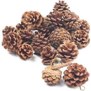 JOHOUSE 18PCS Hanging Natural Pine Cones (1.5"–2.5"), Rustic Pinecones with Strings for Fall Garland, Christmas Tree Ornaments, Wreath Making, Vase/Bowl Filler Winter Decor (Multi Color)
