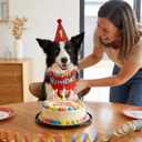 Dog Birthday Party Decorations Set for Boys and Girls | Available for Small & Medium & Large Breeds (Red, Large)