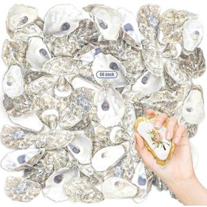 Stonechic 60PCS Oyster Shells 4"-5" Oyster Shells Bulk Large Oyster Shells for Home Decor Vase Filler, Ornaments, DIY Arts and Crafts Sea Shells, Deeper Shells
