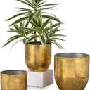 Briful Set of 3 Shabby Gold Galvanized Buckets Multi-Size Rustic Chic Metal Planters for Home Centerpieces Table Decor, Farmhouse Garden Round Metal Pots for Flowers Plant Herb(4 ''/5 ''/6 '')