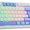 HUO JI Wired Gaming Keyboard with Rainbow LED Backlit, Floating Keys, Mechanical Feeling, Spill Resistant, Ergonomic Full Size for Xbox, PS Series, Desktop, Computer, PC (White Blue)