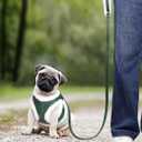 Beirui Leather Small Plush Padded Puppy Harness and Leash Set, Winter Warm Step In No Chock No Pull Adjustable Dog Harness for Extra Small Dogs, Green (XS,Fit 6-10 lbs)