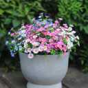 Artificial Flowers for Outdoors Colorful Daisy 20 Bundles Faux Plant Outdoor Spring Summer Decor Realistic Fake Plants Outside for Planters Front Porch Backyard Decor (20 Bundles 4 Colors)