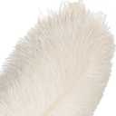 10Pcs Bulk Natural White Ostrich Feathers,12-14 inch (30-35cm) Beautiful Long Feather for Crafts,Wedding Centerpieces Party Home Decoration,Dress and Christmas DIY (White, 12-14in)