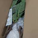 5FT Artificial Fiddle Leaf Fig Tree with White Planter & Fake Moss, Realistic Faux Ficus Lyrata Floor Plant for Indoor Home Office Decor, Housewarming Gift