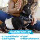 Bodhi Dog Disposable Male Dog Diapers - Super Absorbent, Leak-Proof Pee Wraps - Adjustable Fit, Comfortable Design, Advanced Moisture Control, and Wetness Indicator - Small (20 Count)
