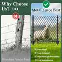 Metal Fence Post 4 Feet Black, Pack of 10, T Post for Wire Fence, Rustproof U Post Fencing, No Dig Garden Stakes for Farm, Orchard, and Lawn, Temporary Fencing, Outdoor Light Duty