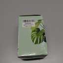 LePe Crushed-Glass, Translucent Broken GlassDecorative for Resin Art, Fire Pits, Potted Plants, Garden and Indoor Use, 3-6mm, 1 Pound in Jar(Navy Blue) (Aquamarine)