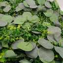 CQURE 9Pcs Eucalyptus Garland,Artificial Eucalyptus Leaves Table Greenery Garland Wreath Vines for Wedding Party Table Bedroom Wall Decor (53.1 Ft)