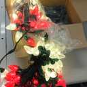 SURAIELEC C9 LED Christmas Lights with Clips, 67FT 100 Count Outdoor Christmas Roof Lights with Spring Clips, Red & Warm White String Lights for House, Gutters, Shingles, Roofline, UL Listed