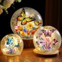 3pcs Spring Crackle Glass Ball Lights - Butterfly Ball Lamp Ornaments Indoor Globes Decorations LED Night Tabletop Decorative Sphere Lamp for Home Decor