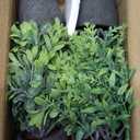 FAVOWREATH 4 Pack Fake Plants Ceramic Mini Artificial Greenery Potted Plants for Home, Office, Room, Farmhouse, Indoor Table, Bathroom Decor